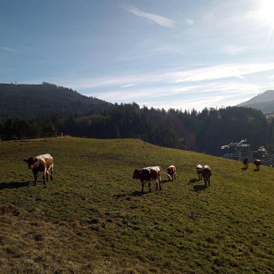 S'Heimatgfuehl Villa Schwarzenberg  Екстериор снимка